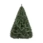 ARBOL IMPERIAL-22136